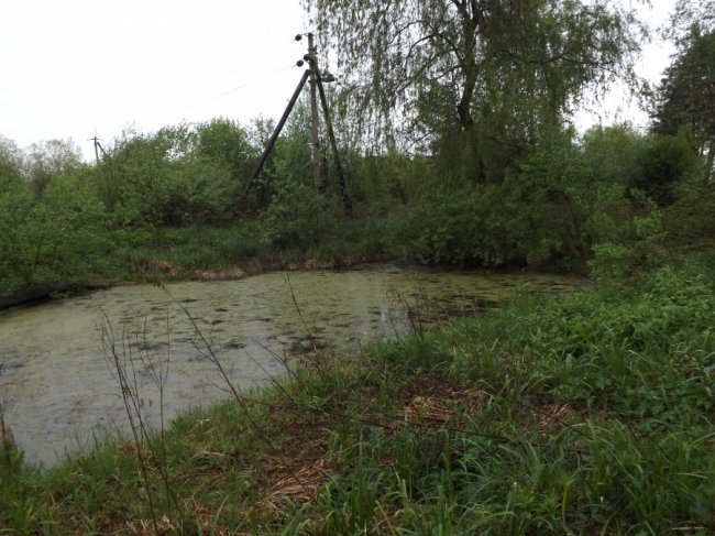 Пам'ятка природи: Цуманські джерела приведуть до ладу  та облаштують територію навколо