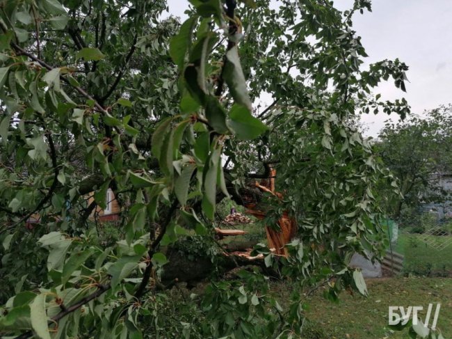 Люди лишилися без світла: на Волині вирував буревій. ФОТО