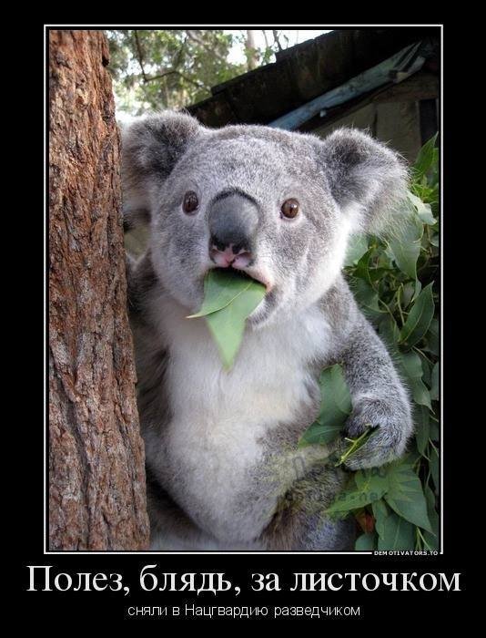 «Зніміть мене в Нацгвардію!»: українці «стібуться» з допису російської журналістки. ФОТО  