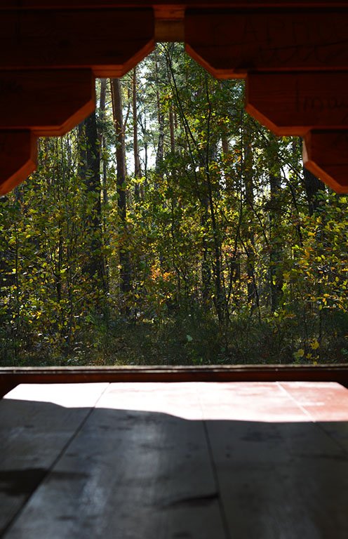 Атмосферні осінні світлини лісових рекреаційних зон на Волині. ФОТО