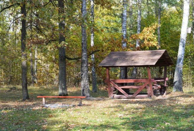 Атмосферні осінні світлини лісових рекреаційних зон на Волині. ФОТО