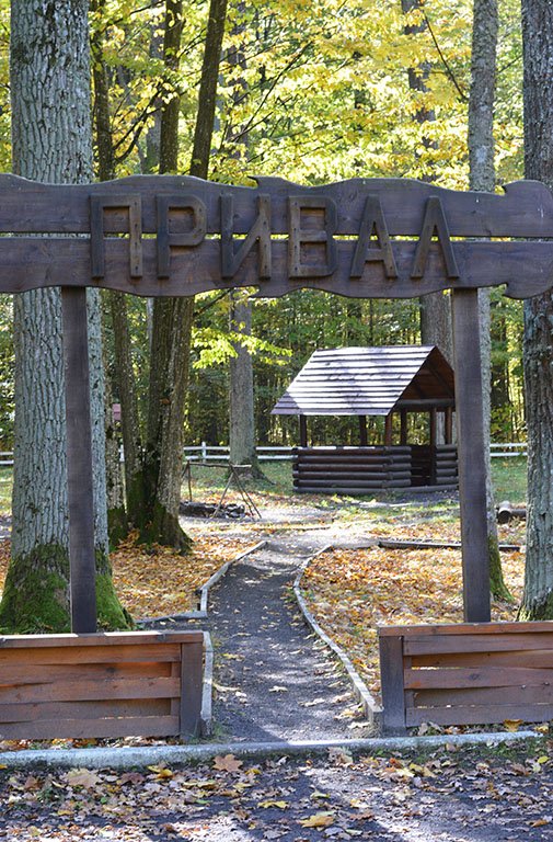 Атмосферні осінні світлини лісових рекреаційних зон на Волині. ФОТО