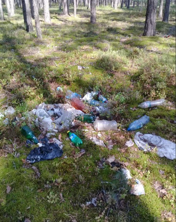 Підгузки, банки і пляшки: у лісі на Волині – купи сміття