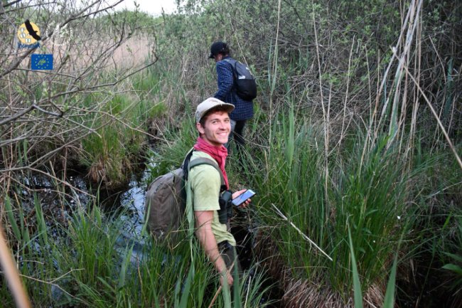 Науковці з п'яти країн досліджували нацпарк на Волині: шукали одного з найрідкісніших птахів Європи