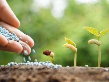 Волинські аграрії можуть отримати допомогу