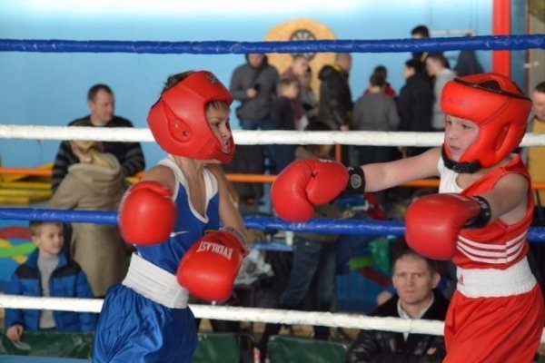 Волинські боксери «дали перцю» на Всеукраїнському турнірі. ФОТО