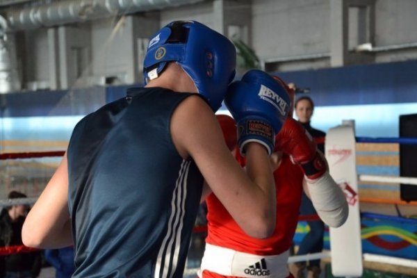 Волинські боксери «дали перцю» на Всеукраїнському турнірі. ФОТО