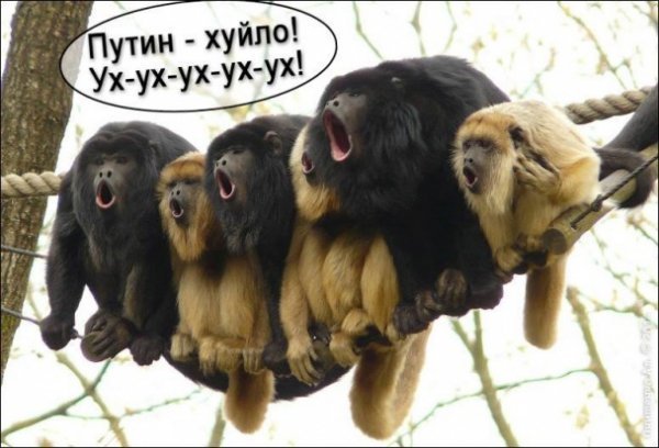 «Путін ‒ ху*ло»: кращі фотожаби