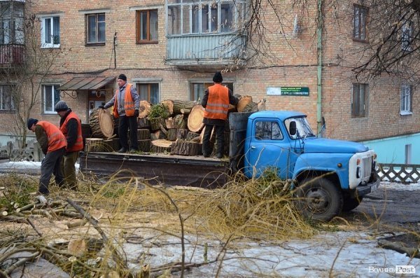 У луцькому «парку Горького» зрізують найстаріші дерева. ФОТО