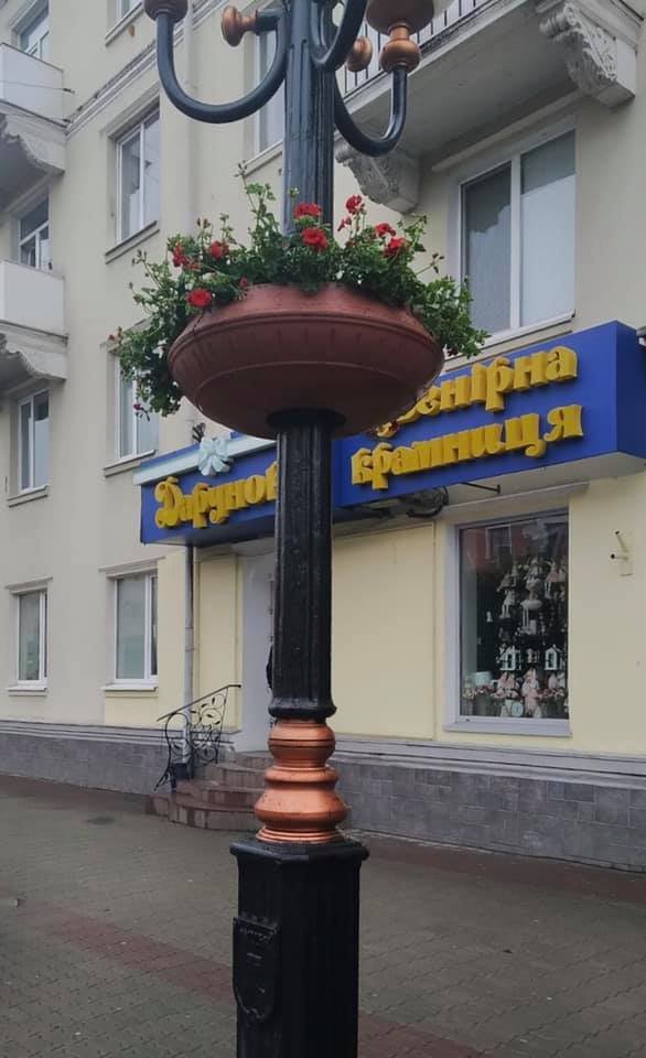 Вулиці Луцька прикрасили живими квітами. ФОТО