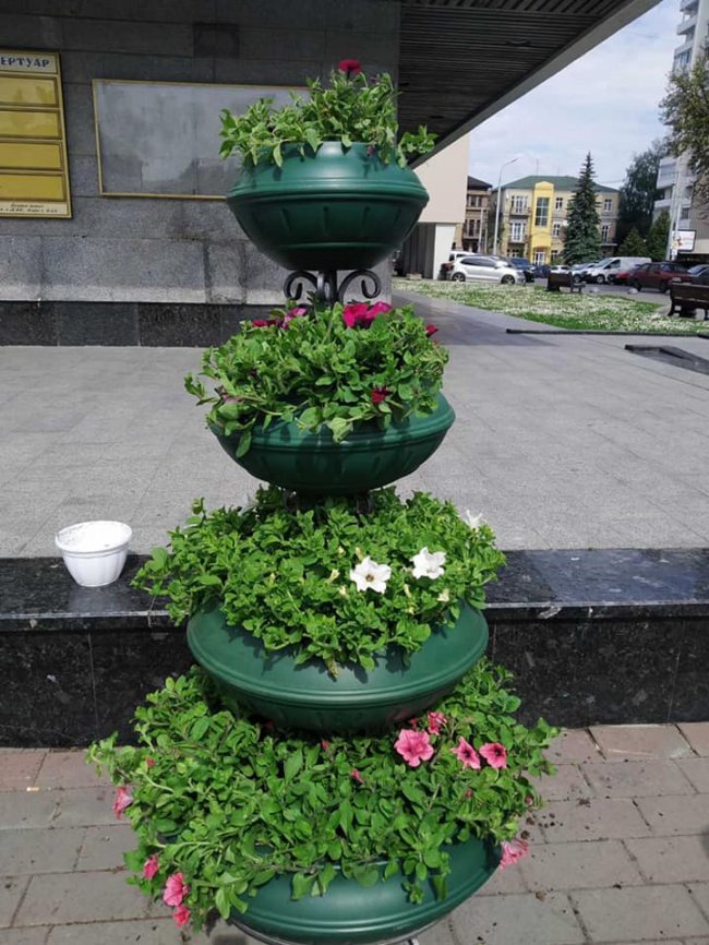 Вулиці Луцька прикрасили живими квітами. ФОТО