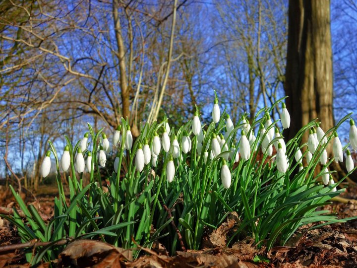 Погода в Луцьку та Волинській області на завтра, 13 квітня