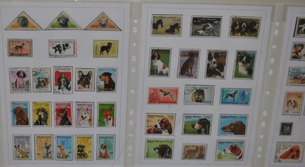 Виставка поштових марок «Свійські тварини» у Луцьку. ФОТО