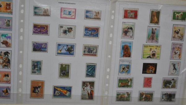 Виставка поштових марок «Свійські тварини» у Луцьку. ФОТО