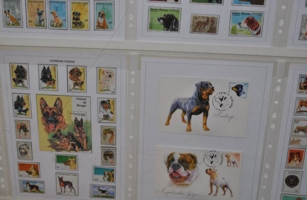 Виставка поштових марок «Свійські тварини» у Луцьку. ФОТО