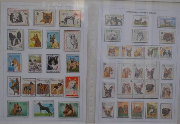 Виставка поштових марок «Свійські тварини» у Луцьку. ФОТО