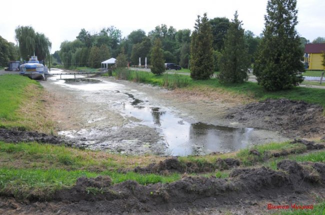 У Луцьку гине парк, - фотограф