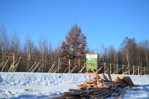 Паркан вольєру, де бачили двох зубрів