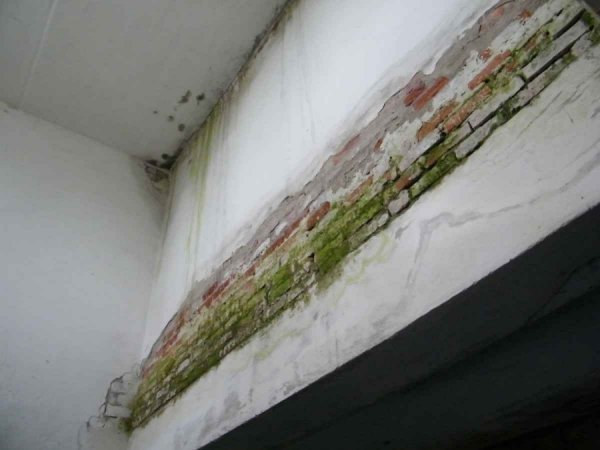 Депутатам влаштували турне клубами Волині. ФОТО