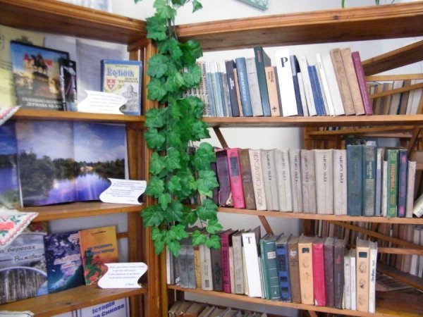 Депутатам влаштували турне клубами Волині. ФОТО