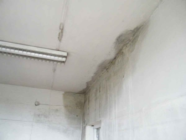 Депутатам влаштували турне клубами Волині. ФОТО