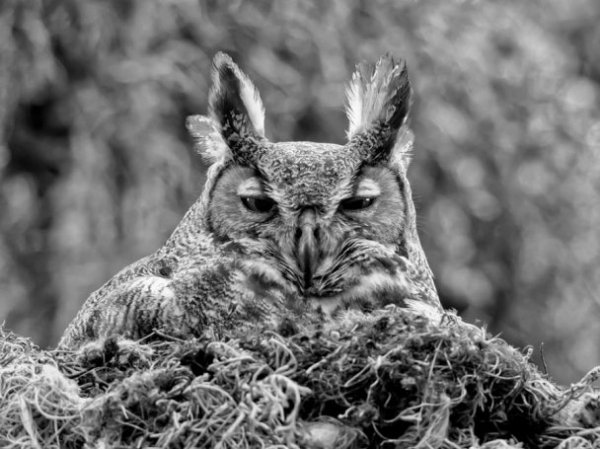 Найкращі фото місяця від National Geographic