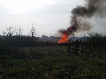 На Волині рятувальники ліквідували загоряння сухої трави та очерету. ФОТО