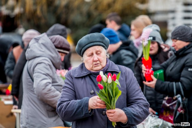 За день до свята: Луцьк накрила тюльпанова лихоманка. ФОТО