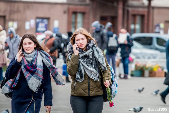 За день до свята: Луцьк накрила тюльпанова лихоманка. ФОТО