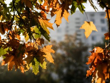 На вихідних у Луцьку потепліє