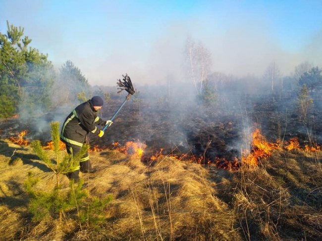 У Ківерцівському районі боролися з вогнем, який розвела місцева жителька