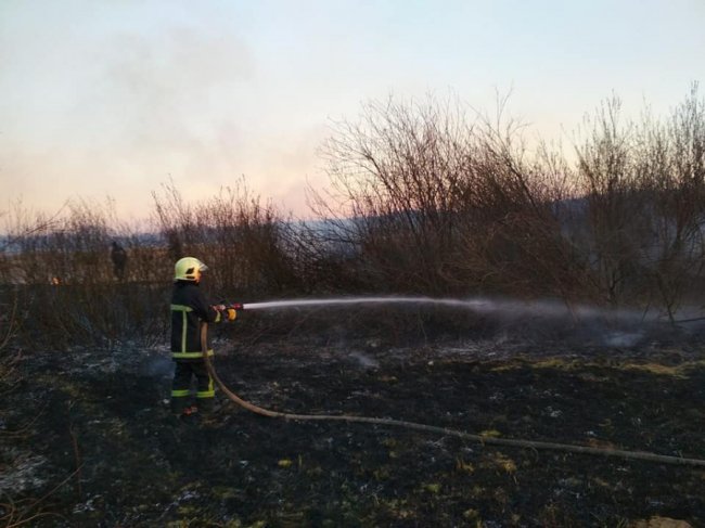 У Ківерцівському районі боролися з вогнем, який розвела місцева жителька