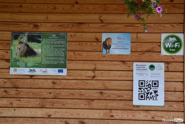 У Луцькому зоопарку збиратимуть кошти на лемура за допомогою сучасних технологій