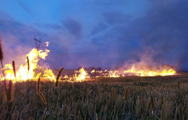 На Волині за спалювання стерні покарали чотирьох селян 