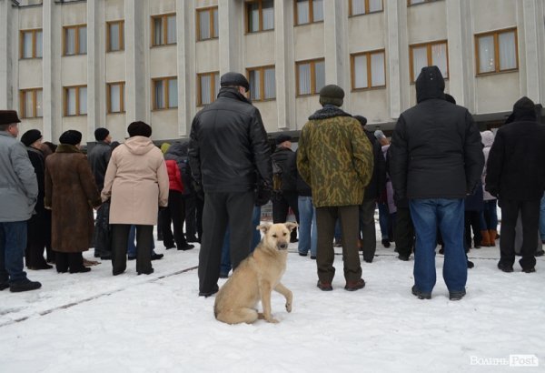 Пікет Волинської облради. ФОТО. ВІДЕО
