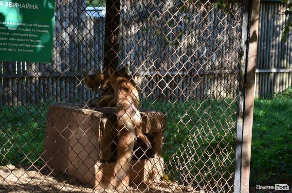Луцькі депутати надумали врятувати зоопарк. ФОТО