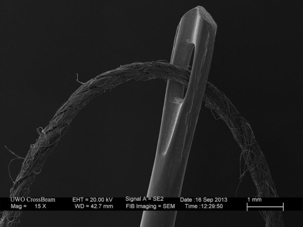 1. Голка і нитка, 15-кратне збільшення.
