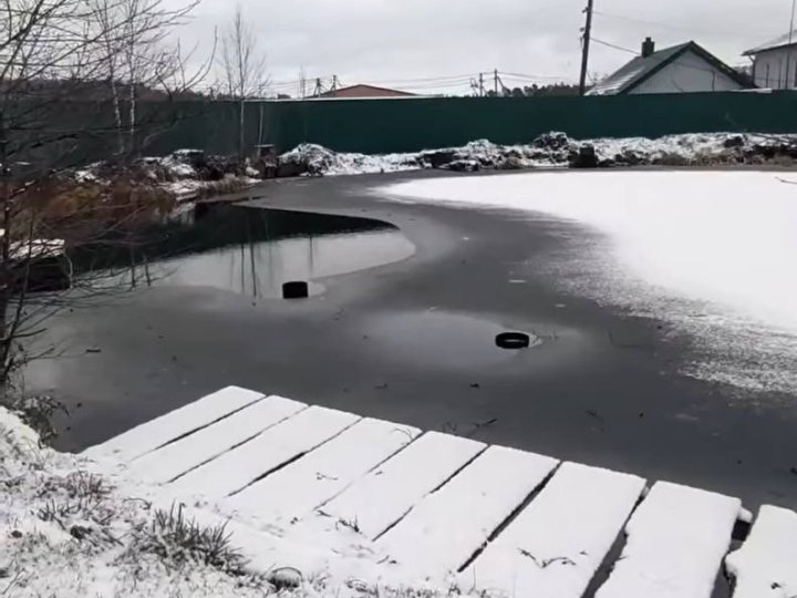 На Волині зникли унікальні Оконські джерела. ВІДЕО