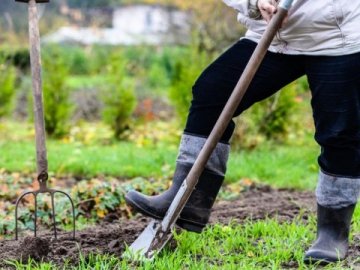Зламане плече та лава підсудних: на Волині двоє сусідів посварились через город