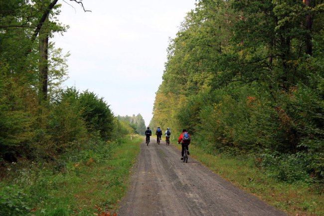 Водосховище та затоплений ліс: подорож цуманськими дібровами. ФОТО