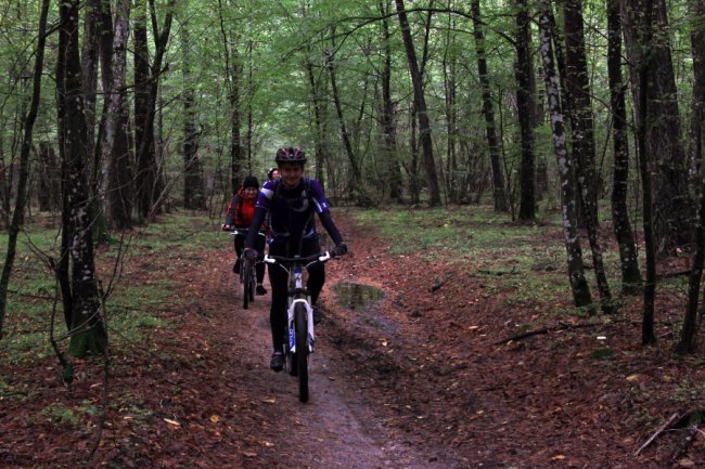 Водосховище та затоплений ліс: подорож цуманськими дібровами. ФОТО