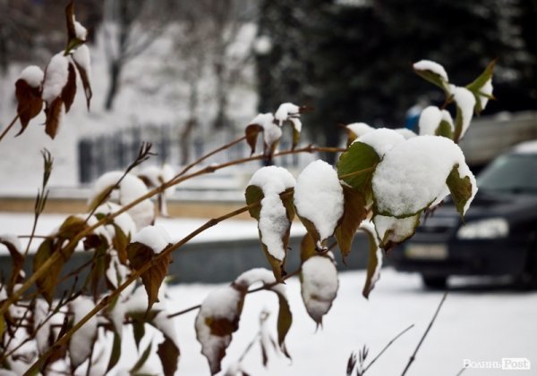 У Луцьк прийшла справжня зима. ФОТО