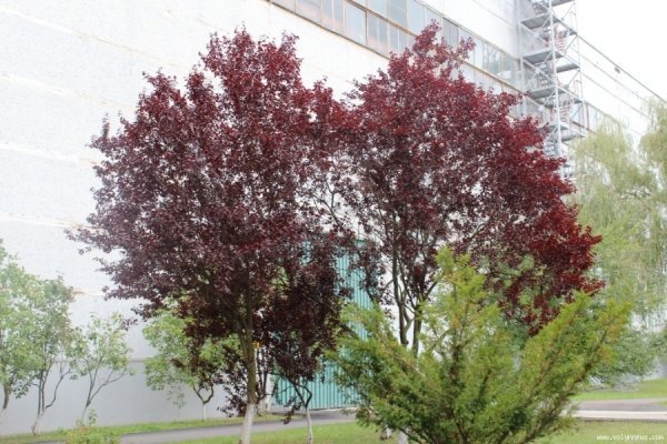 Рівненська атомна електростанція: фотоекскурсія