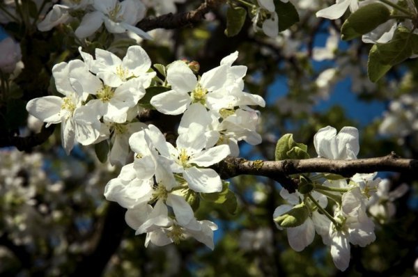 Фотовиставка: Роман Поліщук