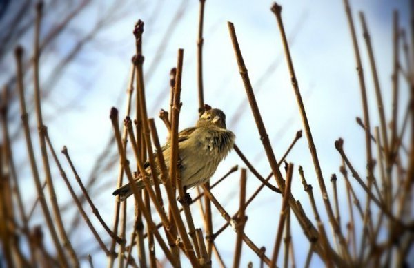Фотовиставка: Роман Поліщук