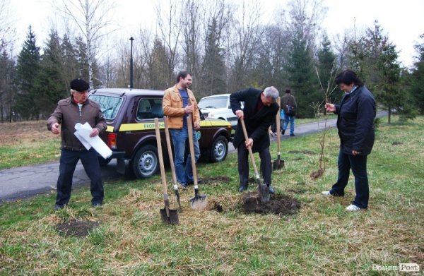 У Центральному парку Луцька чиновники і молодь садили дерева