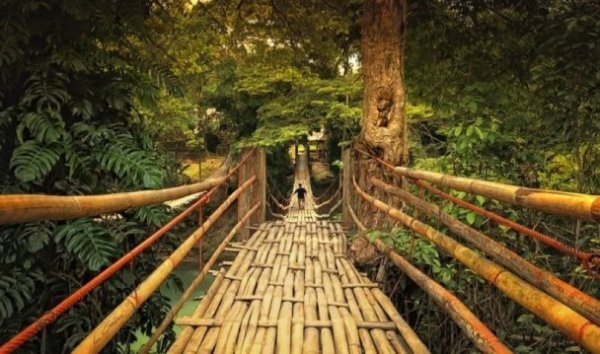 15. Лобок, Бохол, Філіппіни (bigpicture.ru) 