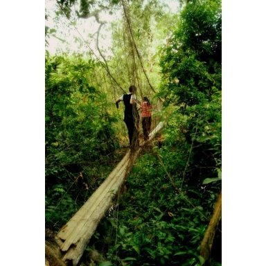 10. Нитте, Карнатака, Індія (bigpicture.ru) 