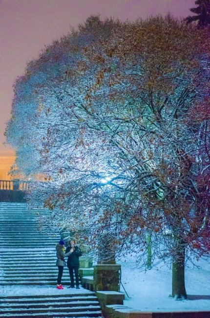 Зимовий Луцьк у фотографіях. ФОТО