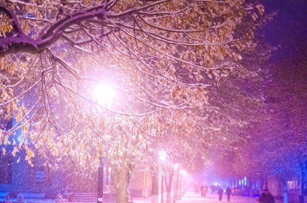 Зимовий Луцьк у фотографіях. ФОТО